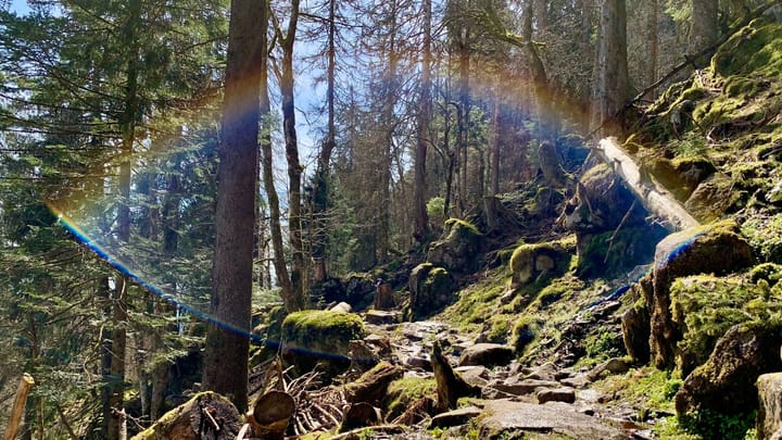 #2 - The Rainbow and the Mountain